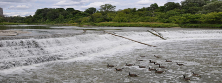 Flood control вконтакте как убрать